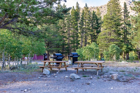 Shared BBQ area with picknick tables