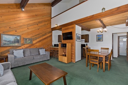 Comfy living area