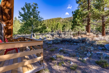 Cabin backs up to the forest