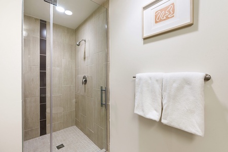 Get ready to conquer the day in the contemporary walk-in shower with stylish fixtures.