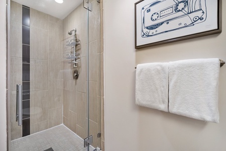 Revive in the modern walk-in shower with sleek fixtures.