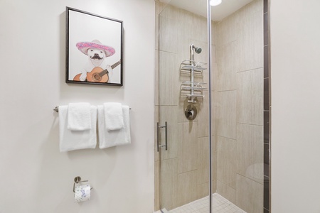 Feel invigorated in the modern walk-in shower with sleek fixtures.