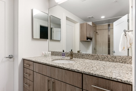 3550 Main-Apt 5123-Houston-Houston-021