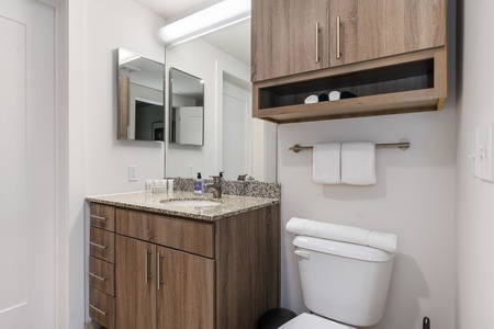 3550 Main-Apt 5123-Houston-Houston-033