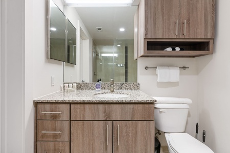 3550 Main-Apt 5123-Houston-Houston-034