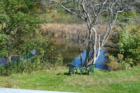 Hove To view of back yard pond