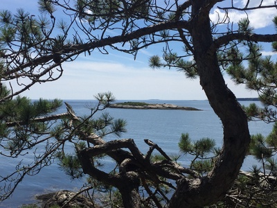View from deck