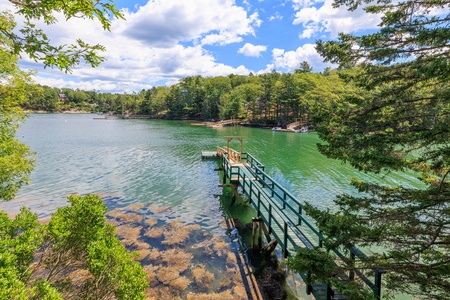 Dock and float