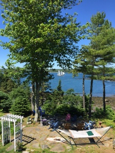 Puffin Perch View