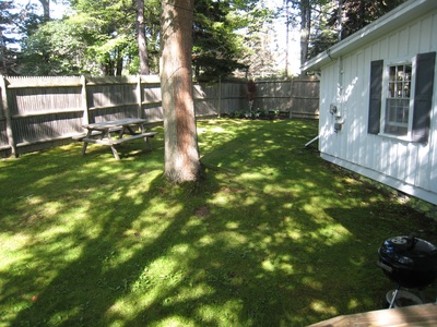 Thrush Cottage yard