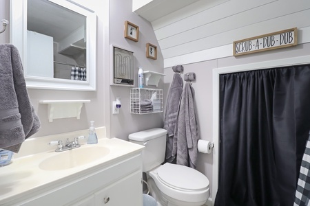 Guest Bathroom 1