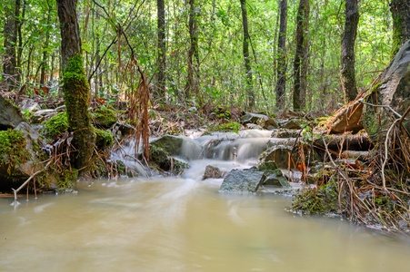 Seasonal creek flowing through property