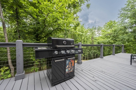 Gas grill for meats and veggies