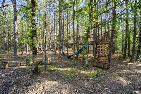 Look closely...this custom playset was built from and designed to blend into the surrounding trees.