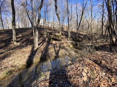 Seasonal trickling creek 20-ft below the cabin