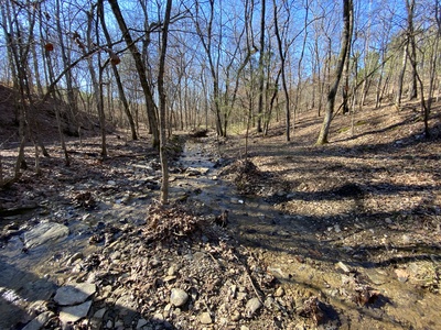 Twin creeks fork and meander through the property