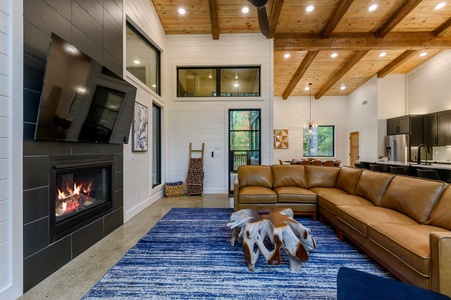 Seasonal fireplace and streaming TV in the living room