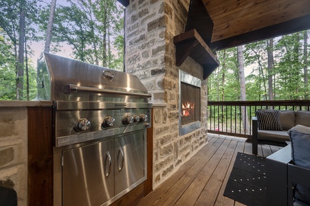 Gas grill and gas fireplace