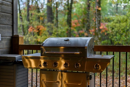 Gas grill for delicious veggies and meats