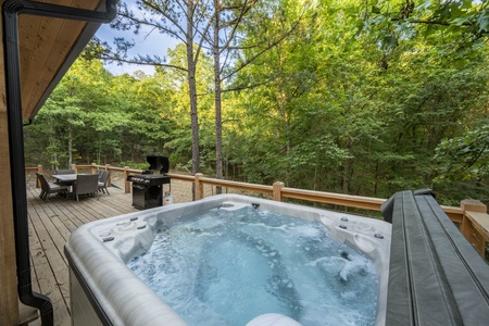 Beautiful, peaceful forest view from the hot tub