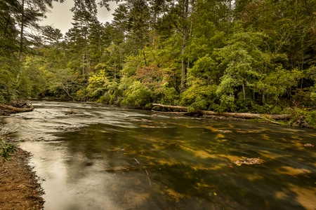 Gorgeous Mountaintown Creek - Trout Fishing