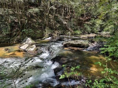 Mountain Town Creek