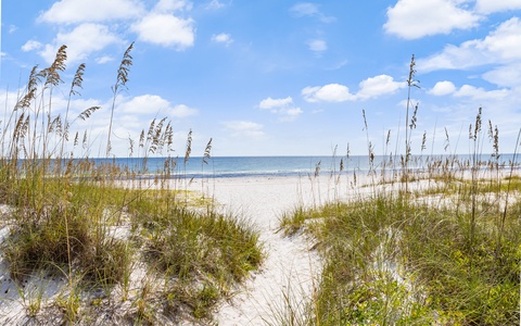 lupine beach access-1