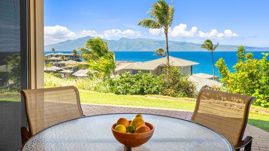 超歓迎 Kapalua 15G2 Villa Bay その他観葉植物