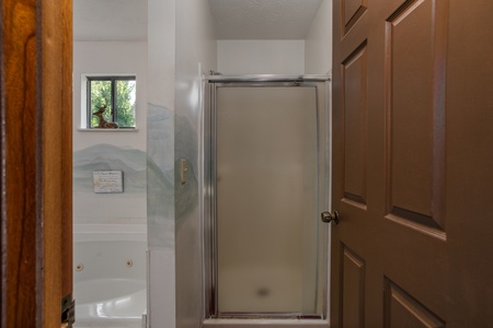 Walk in shower in a bathroom at Black Bear Ridge, a 3-bedroom cabin rental located in Pigeon Forge