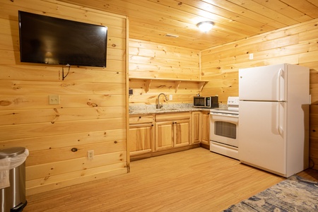 Studio Flat Screen at 3 Crazy Cubs, a 5 bedroom cabin rental located in pigeon forge