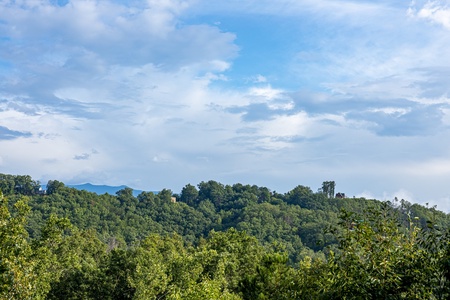 Treetop mountain views at Bearing Views, a 3 bedroom cabin rental located in Pigeon Forge