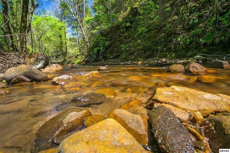 Creek near the cabin at 1 Crazy Cub, a 4 bedroom cabin rental located in Pigeon Forge