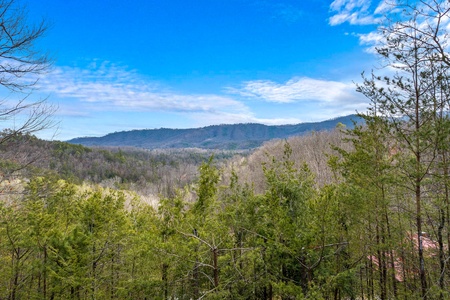 View from Alpine Romance, a 2 bedroom cabin rental located in Pigeon Forge with a dusting of snow