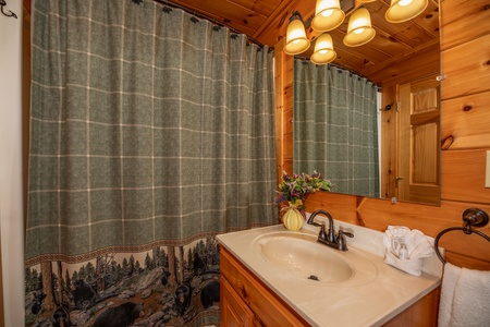 Bathroom at 1 Above the Smokies, a 2 bedroom cabin rental located in Pigeon Forge