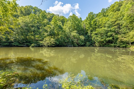 Sky Harbor Pond side view left at A Bear on the Ridge, a 2 bedroom cabin rental located in Pigeon Forge