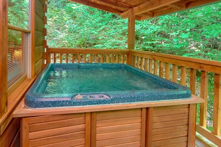 at Wild Crush, a 1 bedroom cabin rental located in Pigeon Forge
