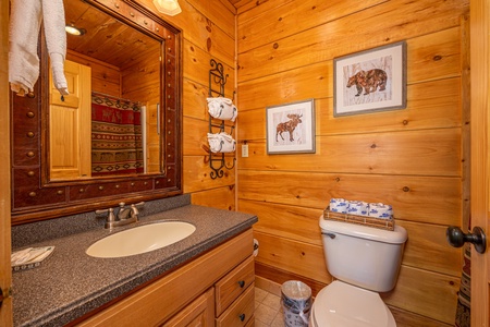 Third bathroom at Mountain Laurel Lodge, a 4 bedroom cabin rental located in Pigeon Forge