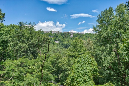 Looking out onto the wooded hillside at License to Chill, a 3 bedroom cabin rental located in Gatlinburg