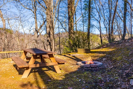 Firepit and picnic table at Hidden Pleasure