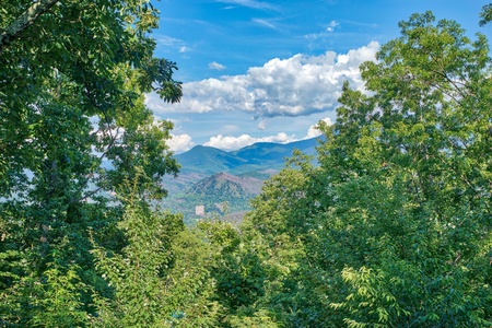 Mountain views from Bushwood Lodge, a 3-bedroom cabin rental located in Gatlinburg