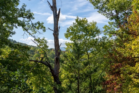 View from deck at American Dream, a 2 bedroom cabin rental located in Gatlinburg