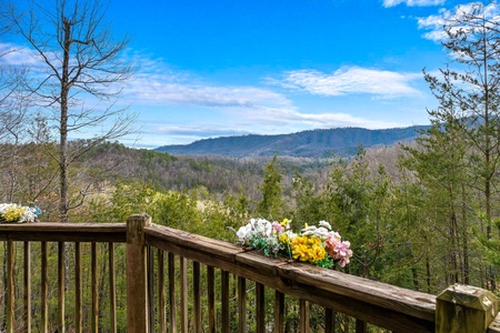 View from Alpine Romance, a 2 bedroom cabin rental located in Pigeon Forge with a dusting of snow