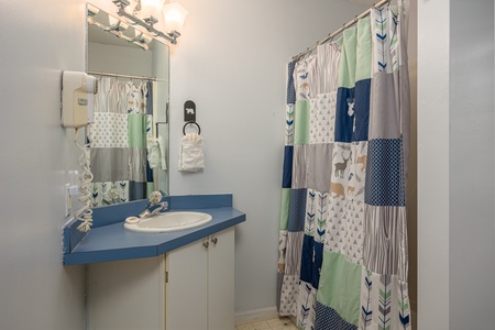 Bathroom with Walk-in Shower at Big Bear Ski Haus