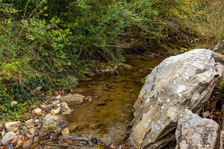 The creek at Tammy's Place At Baskins Creek