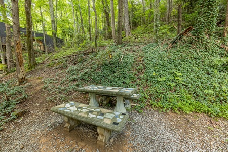Picnic table at License to Chill, a 3 bedroom cabin rental located in Gatlinburg