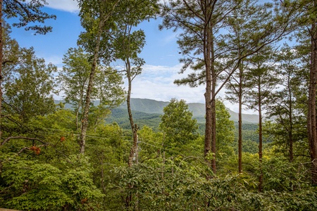 View through the trees at Cubs' Crib, a 3 bedroom cabin rental located in Gatlinburg