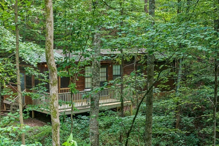 wooded exterior view of angel's dream a 1 bedroom cabin rental located in gatlinburg