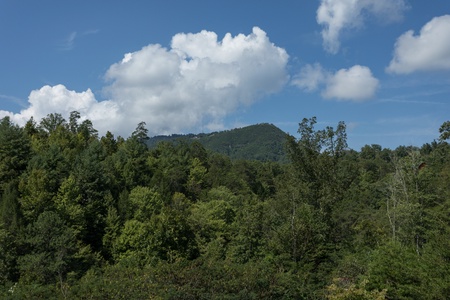 Mountain view with trees below at Cabin Fever, a 4-bedroom cabin rental located in Pigeon Forge