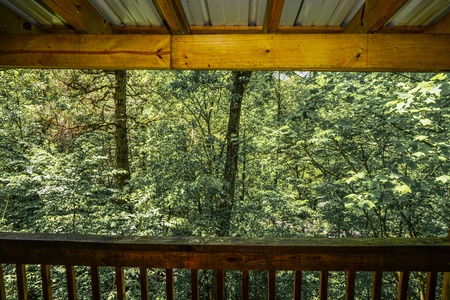 Wooded forest view from Seclusion, a 1 bedroom cabin rental located in Gatlinburg