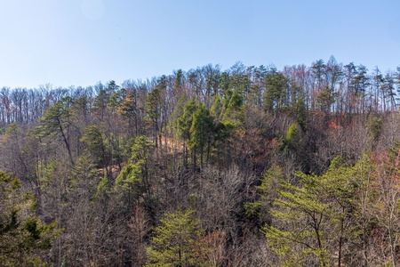 View from Eagle's Loft, a 2 bedroom cabin rental located in Pigeon Forge